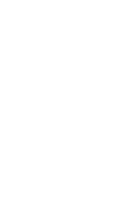 Taimi